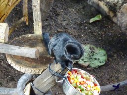 Haus des Meeres 4.02.2026